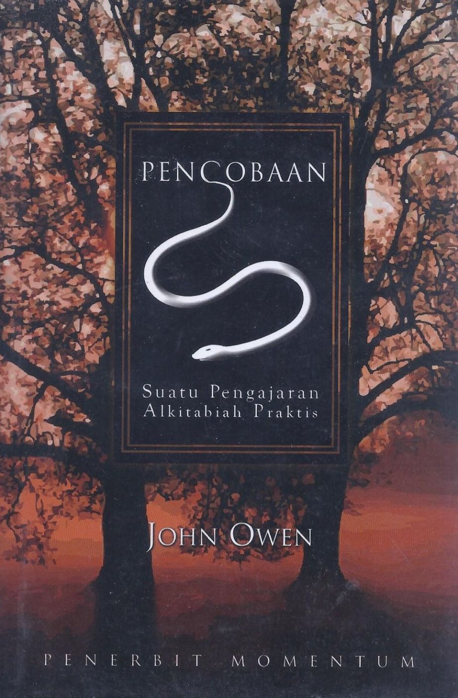 Pencobaan: Suatu Pengajaran Alkitabiah Praktis